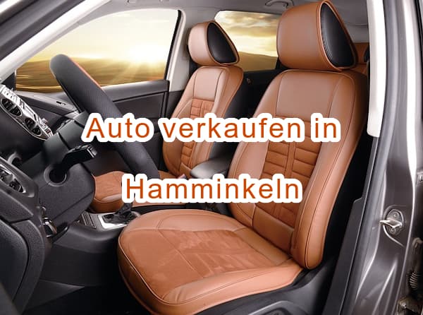 Autoankauf Hamminkeln – Gebrauchtwagen, Unfallwagen,
            defekte Autos
