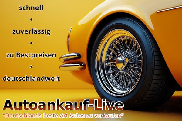 Autoankauf-Live in Lüneburg